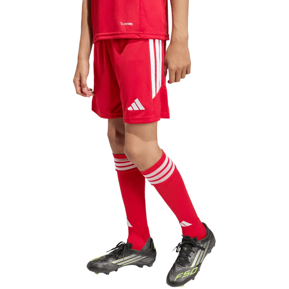 Lühikesed püksid Kids Adidas Tiro 26 League punane KA8817 128cm