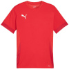 Puma T-särk meestele Teamgoal Matchday Jersey punane 705747 01 suurus M