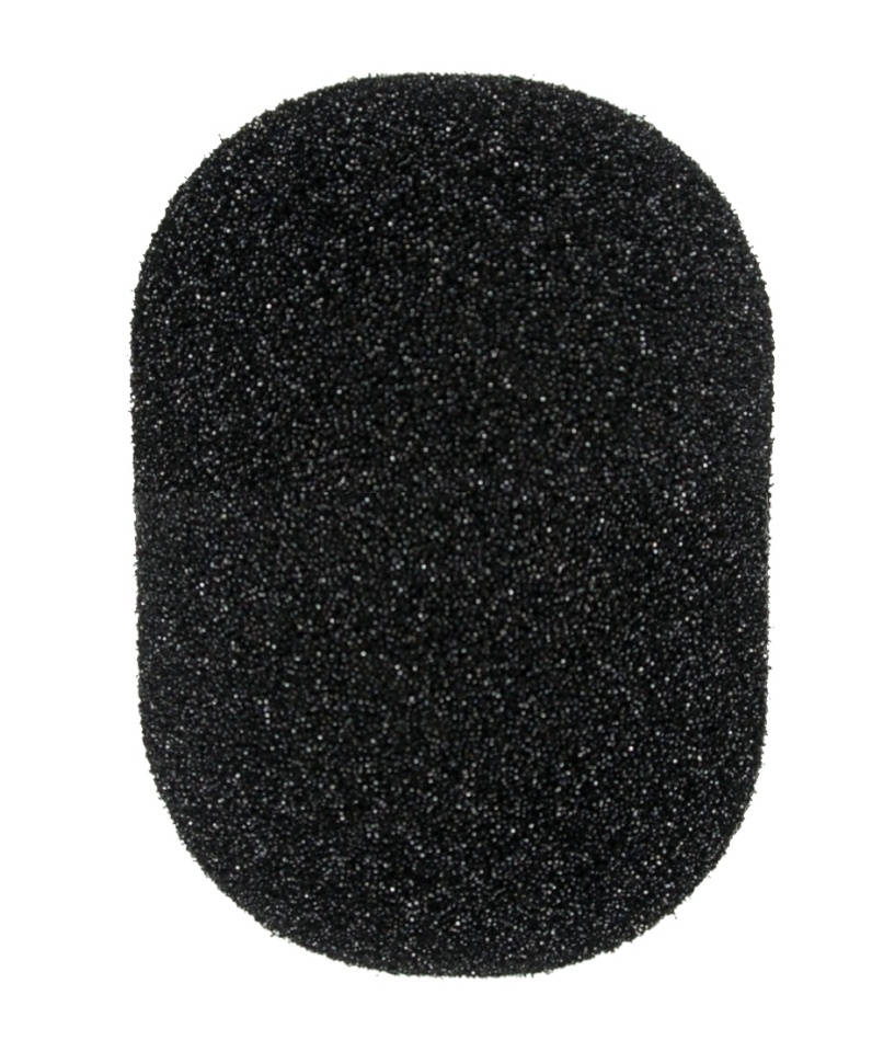 Rode tuulekaitse WS2