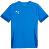 Puma T-särk meestele Teamgoal Matchday Jersey sinine 705747 02 suurus S