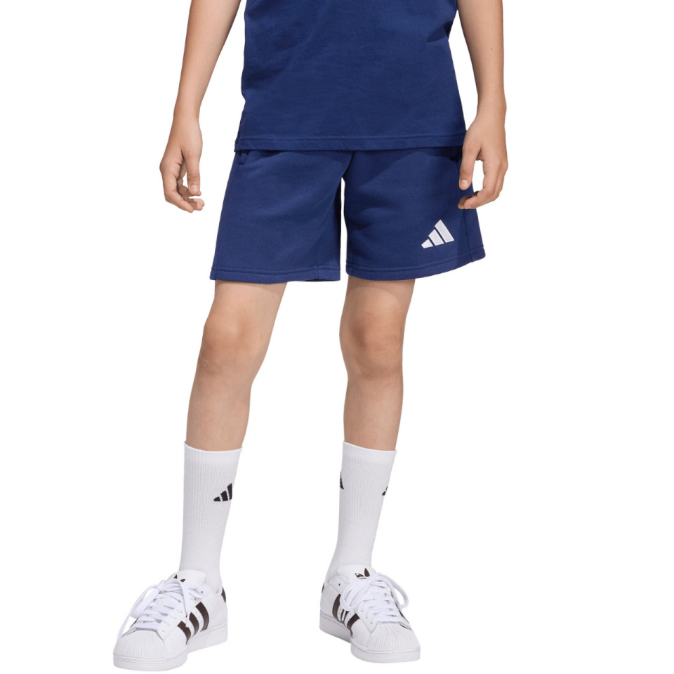 Lühikesed püksid Kids Adidas Entrada 26 Sweat tumesinine KF5928 164cm