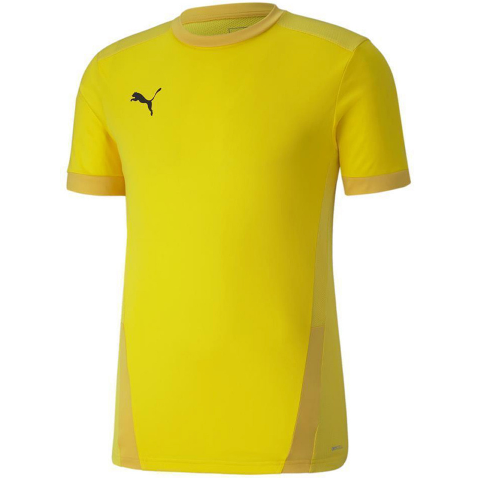 Puma T-särk meestele Teamgoal 23 Jersey kollane 704171 07 suurus S