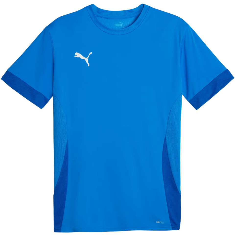 Puma T-särk meestele Teamgoal Matchday Jersey sinine 705747 02 suurus L