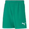 Lühikesed püksid Kids Puma Teamrise Short Jr roheline 704943 05 164cm