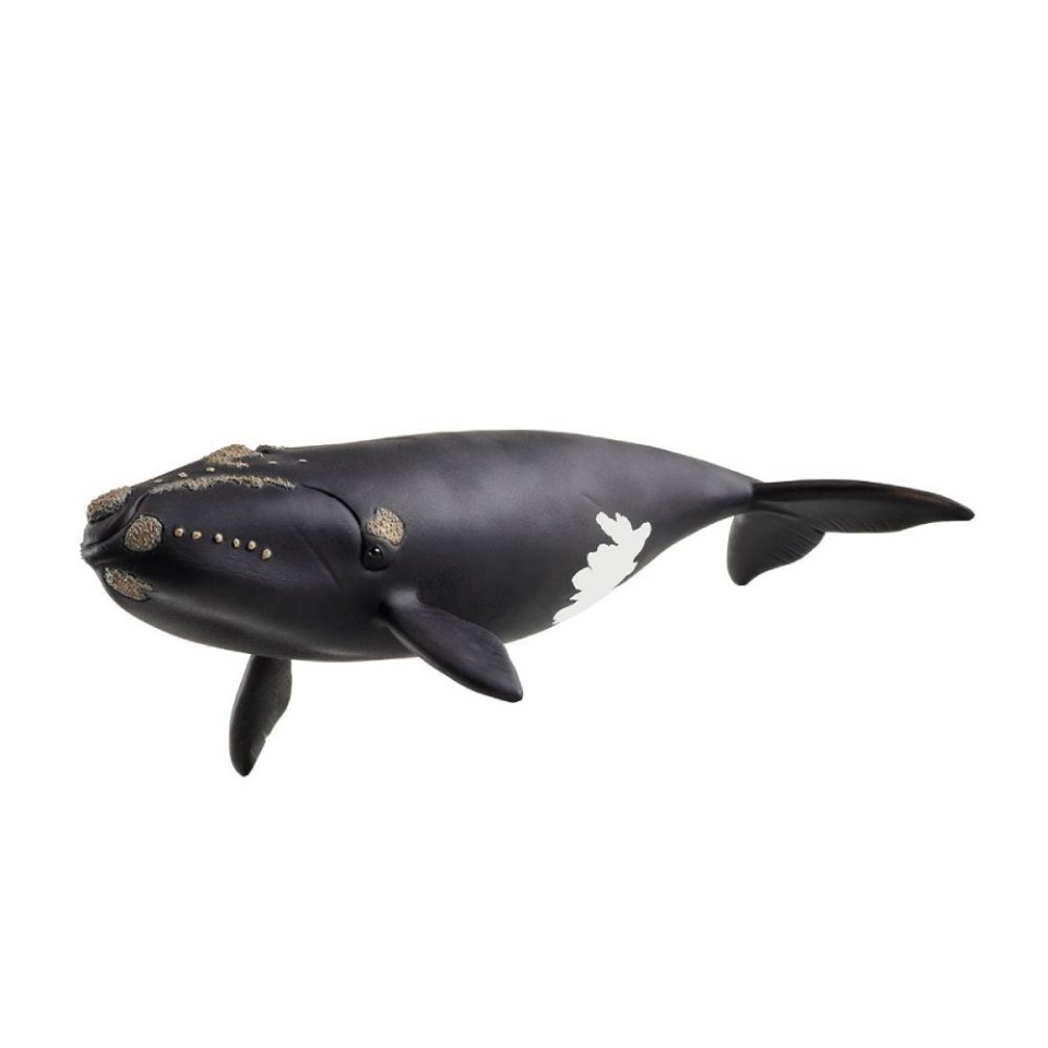 Schleich mängufiguur Wild Life North Atlantic Whale 14878