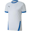 Puma T-särk meestele Teamgoal 23 Jersey valge-sinine 704171 12 suurus S
