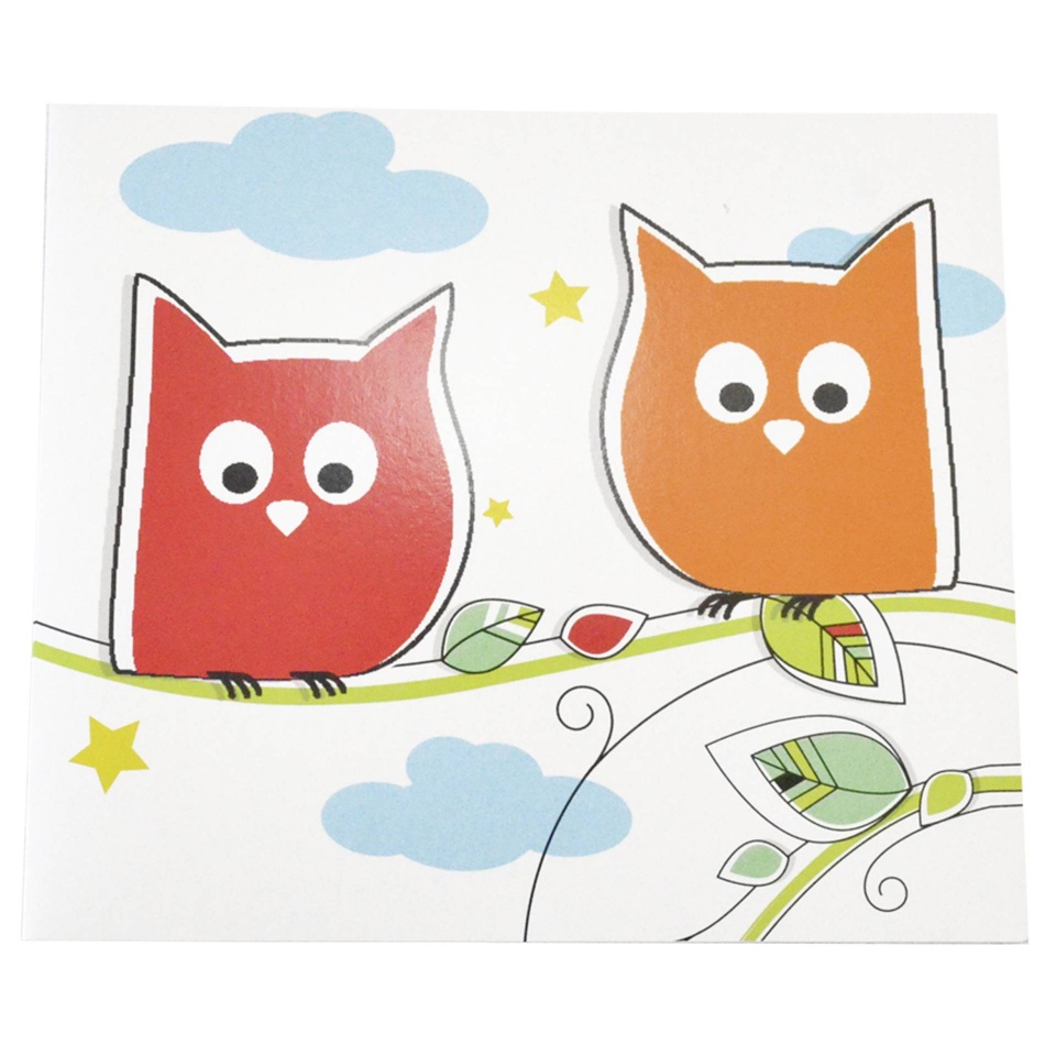 Daiber fototaskud 1x25 Owl 13x18 Kids Portrait folders