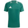 Adidas Teamwear T-särk meestele Tiro 24 Competition Training roheline IS1655 suurus XXL