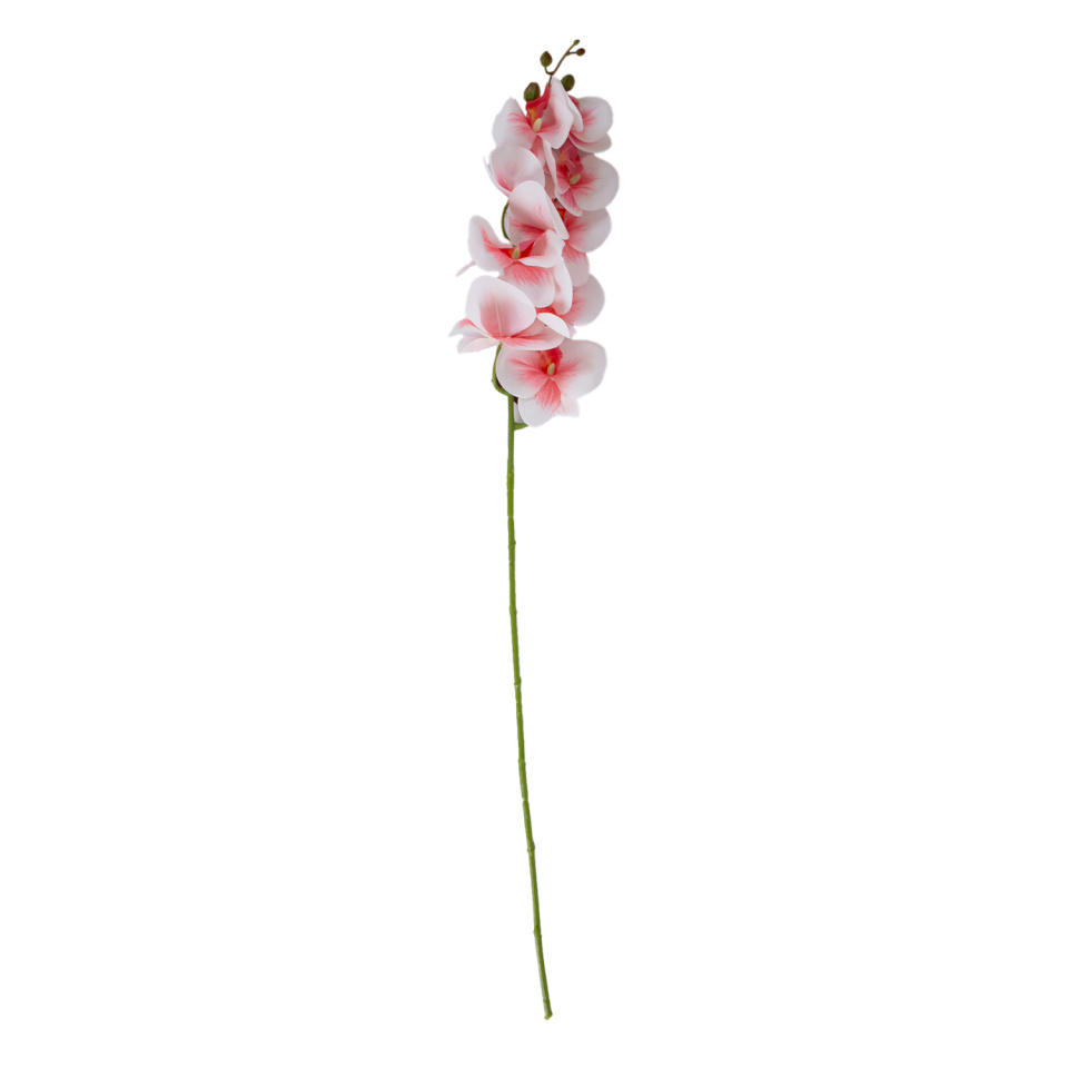 H4Y orhidee Flowerly, 94cm, heleroosa