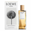 Loewe naiste parfüüm Aura White Magnolia EDP 100ml