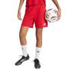 Lühikesed püksid Damskie Adidas Entrada 26 punane JZ2536 XL
