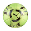 Puma jalgpall Bvb Culture roheline 85226 02 5