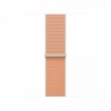 Apple kellarihm Watch 40mm Cantaloupe Sport Loop
