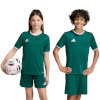 Adidas Teamwear T-särk lastele Entrada 26 Jersey roheline KE9834 suurus 116cm