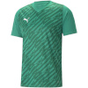 Puma T-särk meestele Teamultimate roheline 705371 05 suurus M