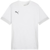 Puma T-särk meestele Teamgoal Matchday Jersey valge 705747 04 suurus XXL