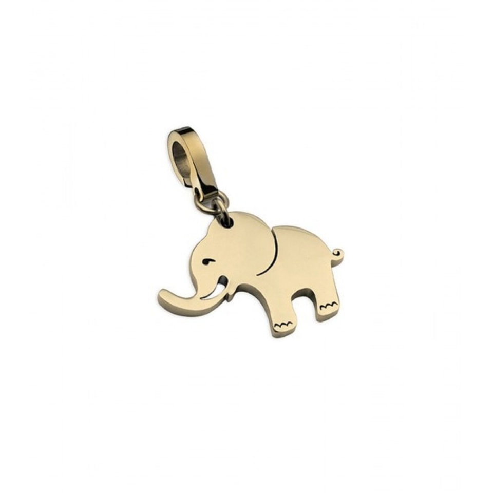 One Jewels naiste amulett OJEBC526Y-L kuldne