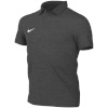 Nike Team T-särk lastele Park 26 Polo hall IB1195 071 suurus S