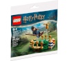 Lego klotsid 30651 Quidditch Practice