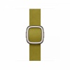 Apple kellarihm Watch 42mm Chartreuse Modern Buckle - M