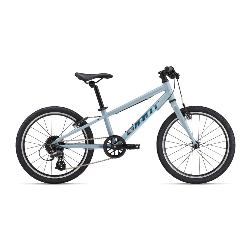 Giant Ülikerge laste jalgratas ARX 20 2025 Soap Suds
