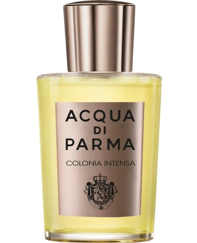 Acqua di Parma parfüüm Colonia Intensa 100ml, meestele