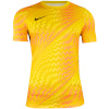Nike Team T-särk meestele Dri_fit Gardien VI Goalkeeper kollane HV8301 718 suurus S