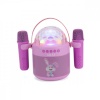 AKAI kõlarid Karaoke set JoyBox Kids