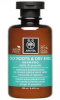 Apivita šampoon Oily Roots & Dry Ends Shampoo 250ml, unisex