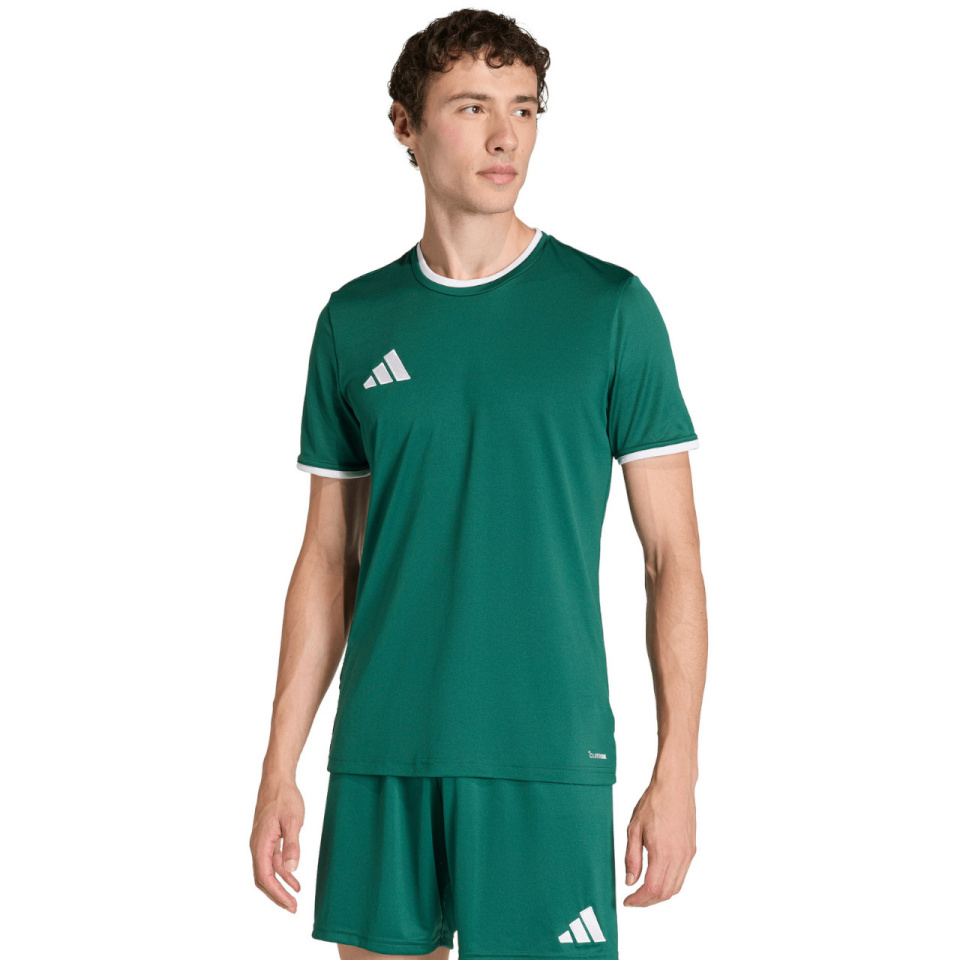 Adidas Teamwear T-särk meestele Entrada 26 Jersey roheline KE9832 suurus XXL