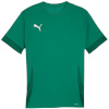 Puma T-särk meestele Teamgoal Matchday Jersey roheline 705747 05 suurus L