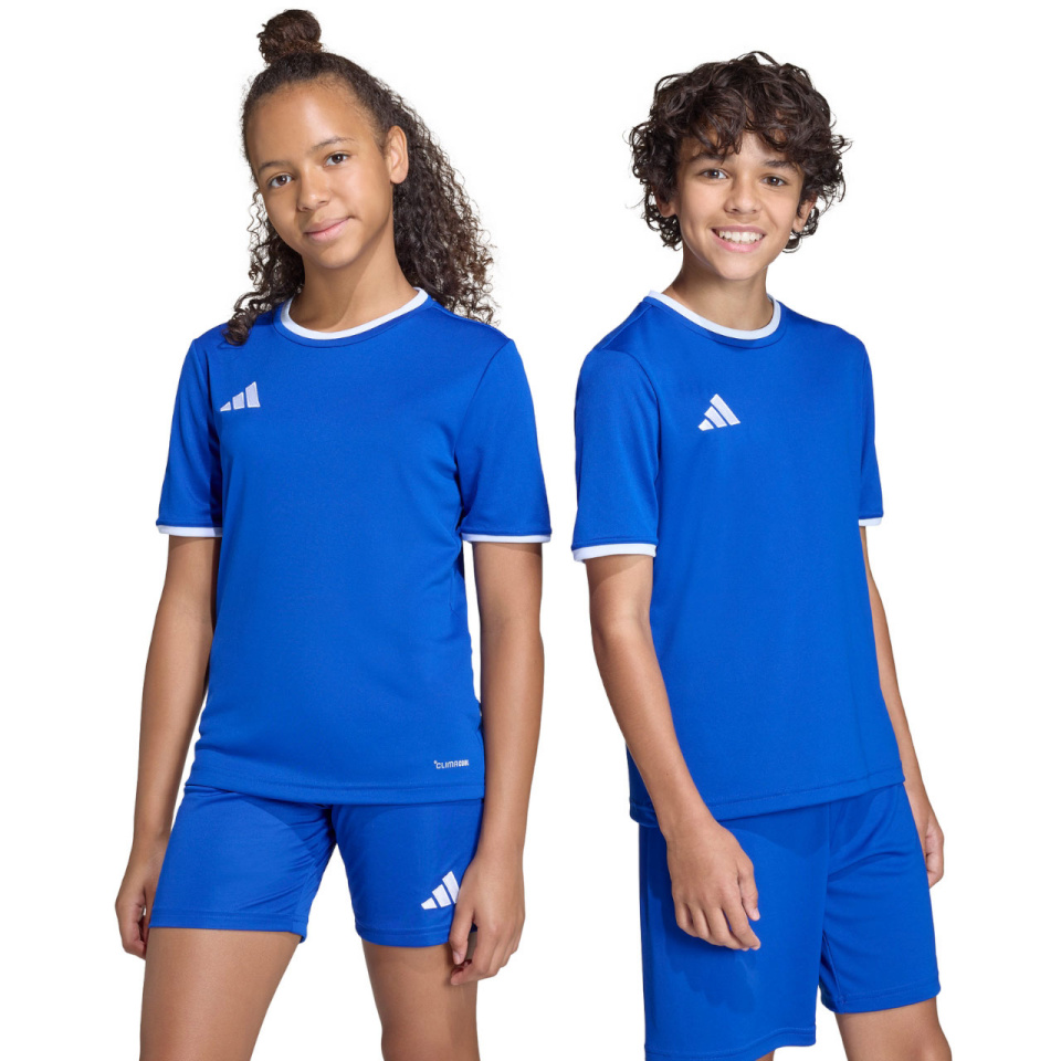 Adidas Teamwear T-särk lastele Entrada 26 Jersey sinine JZ2531 suurus 152cm