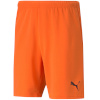 Lühikesed püksid Męskie Puma Teamrise Short oranž 704942 08 S