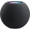 Apple Homepod mini Space Grey, hall