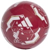 adidas Liverpool FC Club KE5132 ball 5