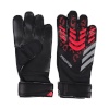 adidas Predator Training M JM6827 väravavahi kindad 7