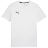 Puma T-särk meestele Team Goal Casuals Tee valge 658615 04 suurus XL