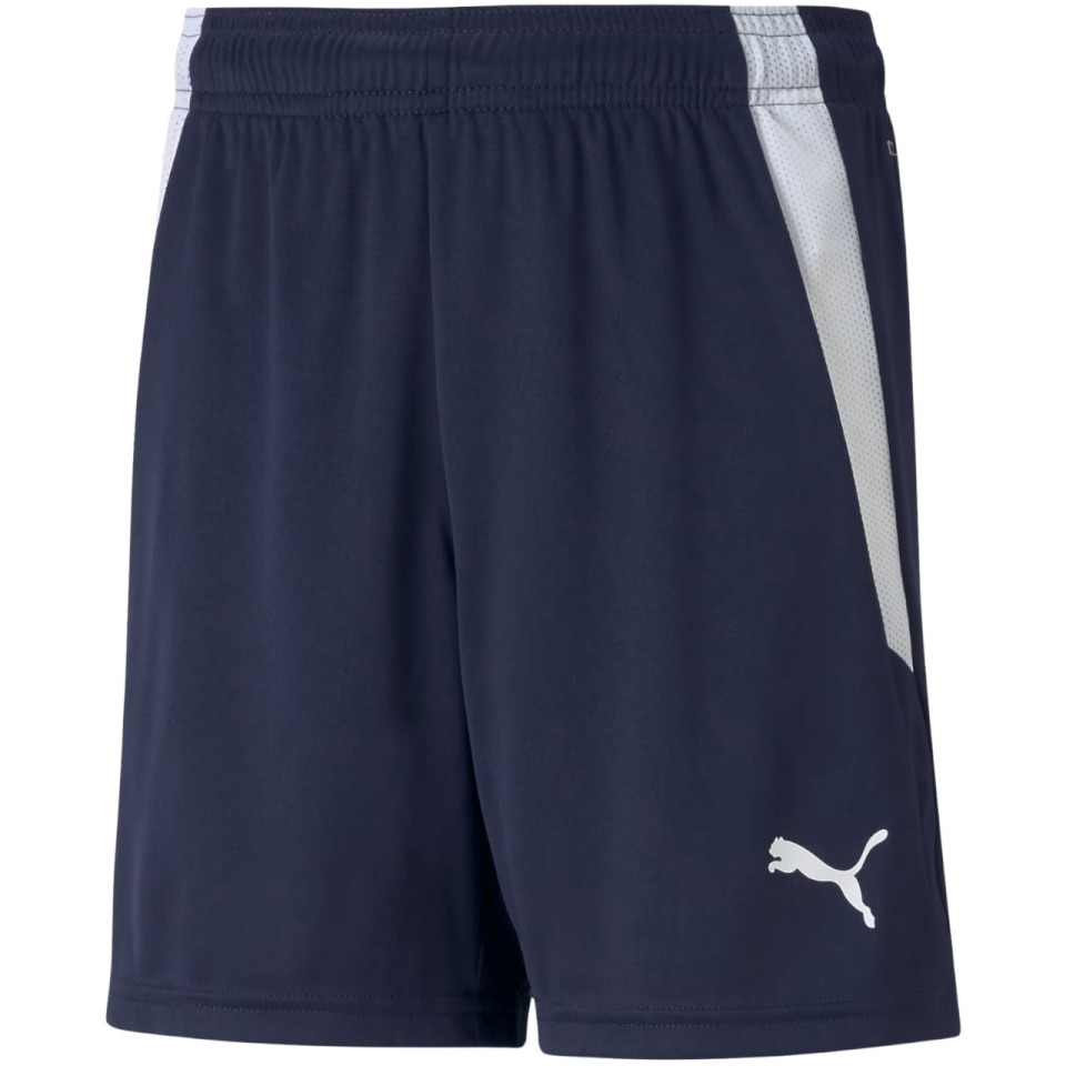 Lühikesed püksid Kids Puma Teamliga Shorts Jr tumesinine 704931 06 128cm