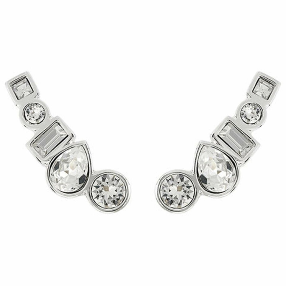 Adore naiste kõrvarõngad 5375520 2cm