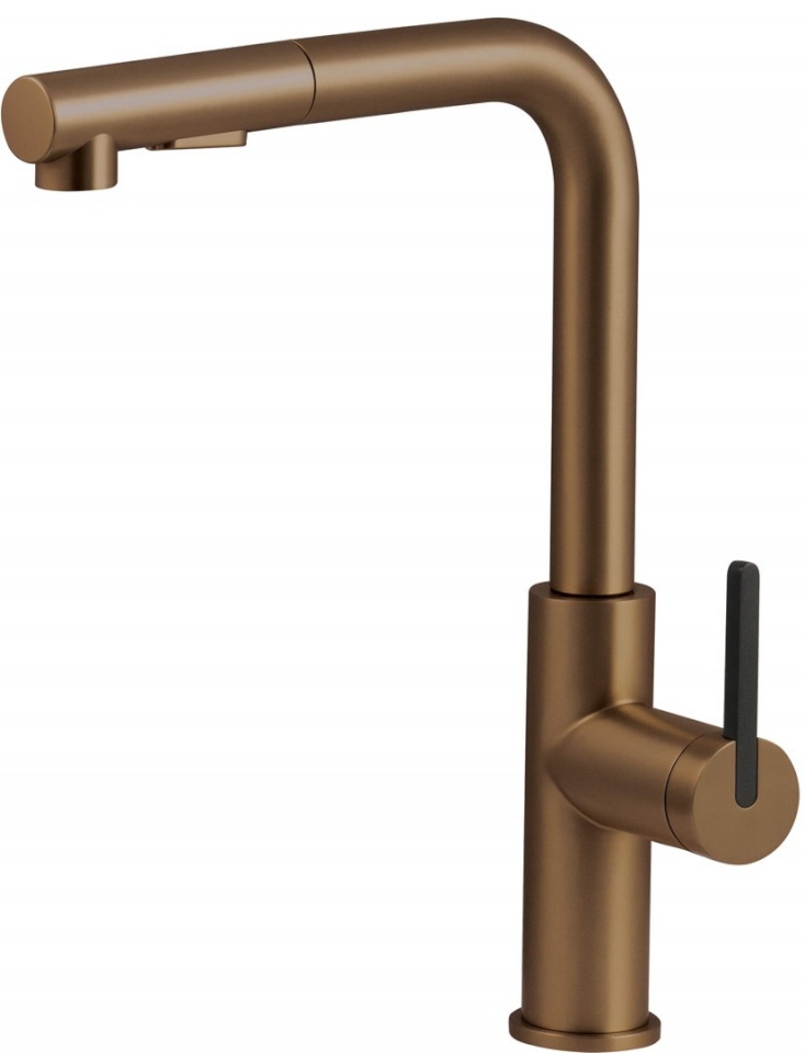 Deante segisti Kitchen faucet with pull-out spout