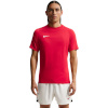 Nike Team T-särk meestele Dri-Fit Park Viii punane HV8173 657 suurus XL