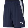 Lühikesed püksid Kids Puma Teamliga Shorts Jr tumesinine 704931 06 164cm