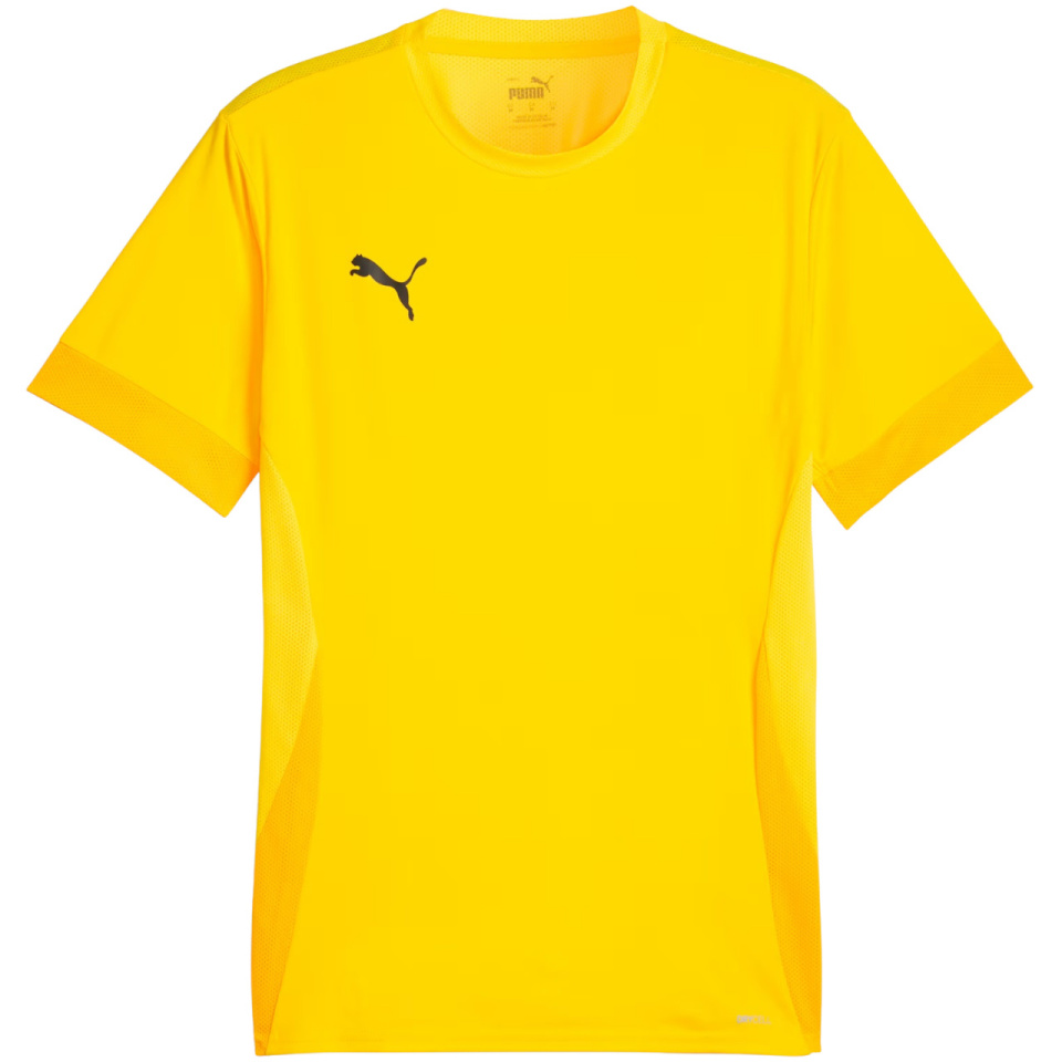 Puma T-särk meestele Teamgoal Matchday Jersey kollane 705747 07 suurus L