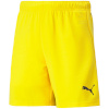 Lühikesed püksid Kids Puma Teamrise Short Jr kollane 704943 07 140cm