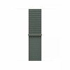 Apple kellarihm Watch Watch 42mm Sage Sport Loop