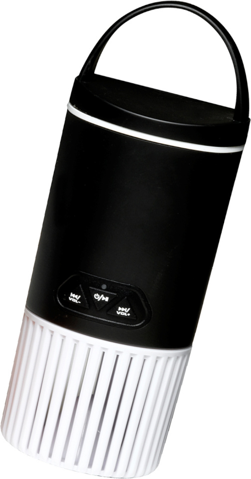 Denver kõlar BTS-51 White, valge