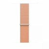 Apple kellarihm Watch 46mm Cantaloupe Sport Loop