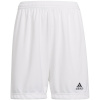 Lühikesed püksid Kids Adidas Entrada 22 valge HG6292 116cm