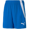 Lühikesed püksid Kids Puma Teamliga Shorts Junior sinine 704931 02 164cm