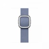 Apple kellarihm Watch Lavender Blue Modern Buckle 41 mm - S